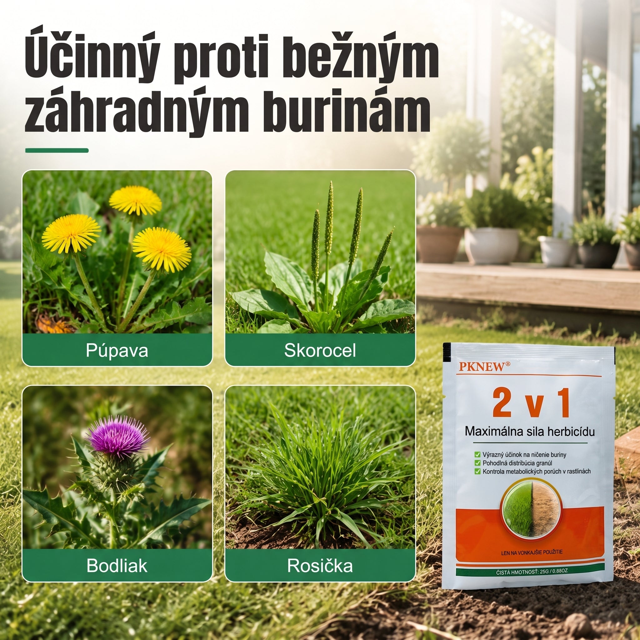 PKNEW® Granulovaný prípravok proti burine 2 v 1 Max Power 👑 – viditeľný účinok už za 6 hodín, ľahké rozmiešanie vo vode a cielené použitie na škáry, chodníky, ploty aj štrkové plochy 💎