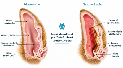 𝐏𝐊𝐍𝐄𝐖® Š𝐞𝐭𝐫𝐧é č𝐢𝐬𝐭𝐞𝐧𝐢𝐞 𝐮ší 𝐩𝐫𝐞 𝐝𝐨𝐦á𝐜𝐢𝐜𝐡 𝐦𝐢𝐥áč𝐢𝐤𝐨𝐯 | Č𝐢𝐬𝐭𝐞𝐧𝐢𝐞 𝐛𝐞𝐳 𝐳á𝐩𝐚𝐜𝐡𝐮 𝐩𝐫𝐞 𝐩𝐬𝐨𝐯 𝐚 𝐦𝐚č𝐤𝐲 💎