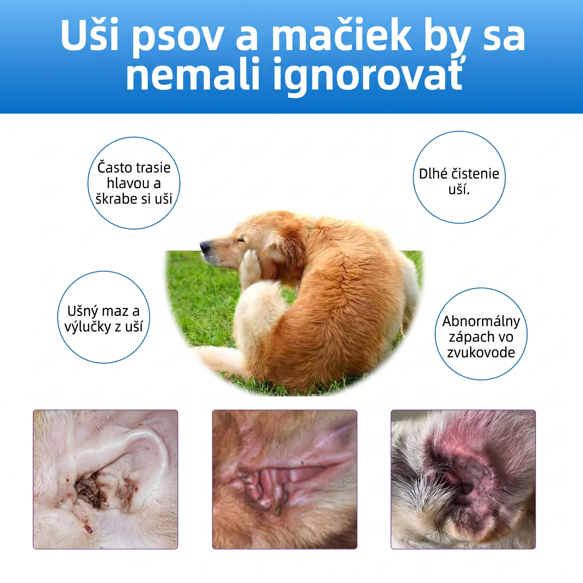 𝐏𝐊𝐍𝐄𝐖® Š𝐞𝐭𝐫𝐧é č𝐢𝐬𝐭𝐞𝐧𝐢𝐞 𝐮ší 𝐩𝐫𝐞 𝐝𝐨𝐦á𝐜𝐢𝐜𝐡 𝐦𝐢𝐥áč𝐢𝐤𝐨𝐯 | Č𝐢𝐬𝐭𝐞𝐧𝐢𝐞 𝐛𝐞𝐳 𝐳á𝐩𝐚𝐜𝐡𝐮 𝐩𝐫𝐞 𝐩𝐬𝐨𝐯 𝐚 𝐦𝐚č𝐤𝐲 💎