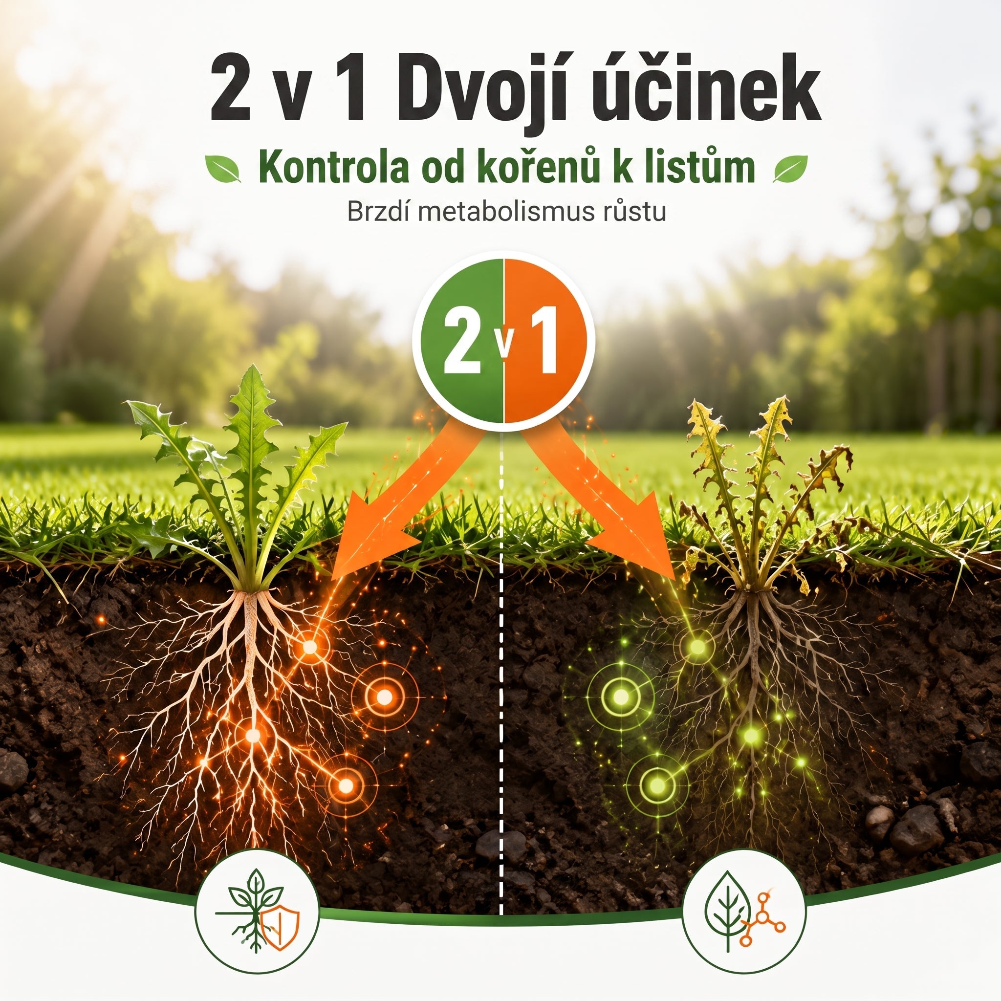 PKNEW® Granulovaný prípravok proti burine 2 v 1 Max Power 👑 – viditeľný účinok už za 6 hodín, ľahké rozmiešanie vo vode a cielené použitie na škáry, chodníky, ploty aj štrkové plochy 💎