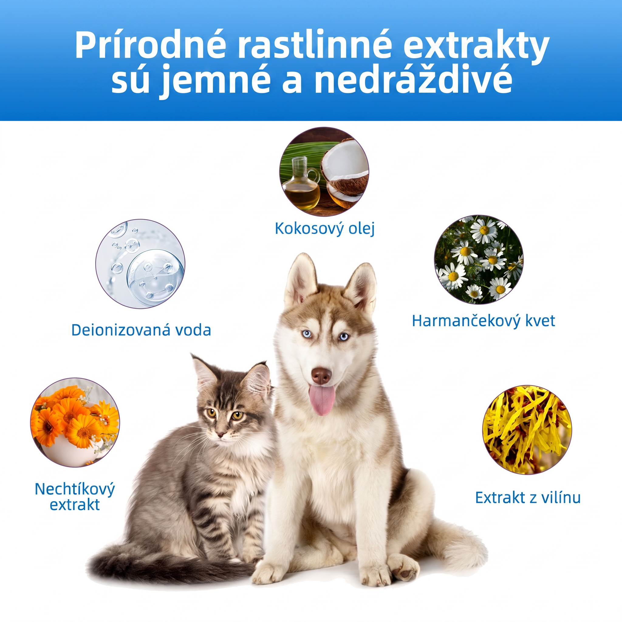 𝐏𝐊𝐍𝐄𝐖® Š𝐞𝐭𝐫𝐧é č𝐢𝐬𝐭𝐞𝐧𝐢𝐞 𝐮ší 𝐩𝐫𝐞 𝐝𝐨𝐦á𝐜𝐢𝐜𝐡 𝐦𝐢𝐥áč𝐢𝐤𝐨𝐯 | Č𝐢𝐬𝐭𝐞𝐧𝐢𝐞 𝐛𝐞𝐳 𝐳á𝐩𝐚𝐜𝐡𝐮 𝐩𝐫𝐞 𝐩𝐬𝐨𝐯 𝐚 𝐦𝐚č𝐤𝐲 💎